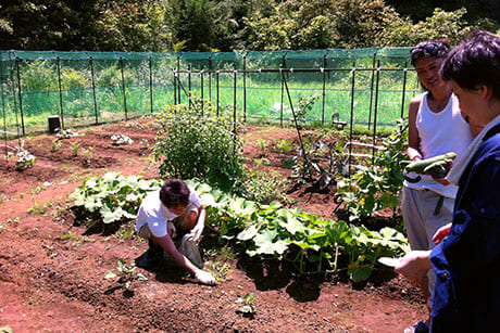農作業好きな人達で野菜作り